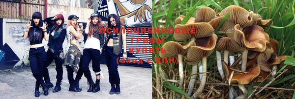 MESCALINE Михайловка